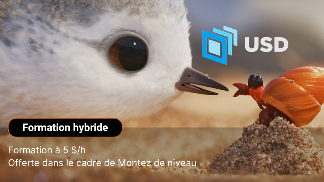 Universal Scene Description | USD pour artistes 3D