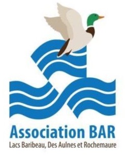 Logo Association BAR