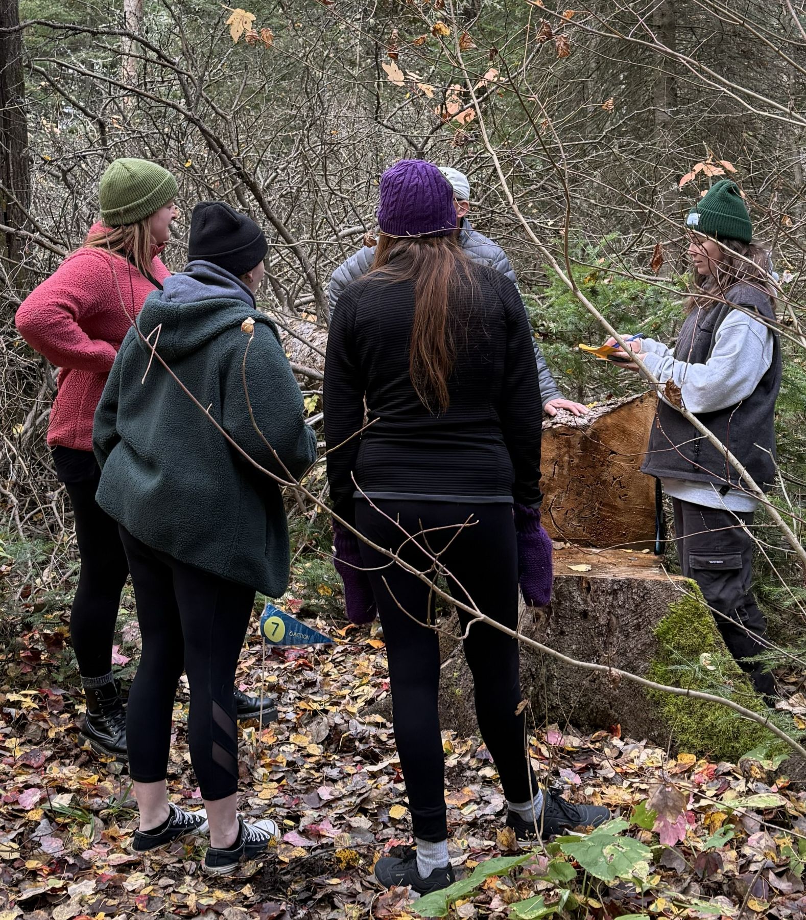 Quand collaboration et engagement se rencontrent!