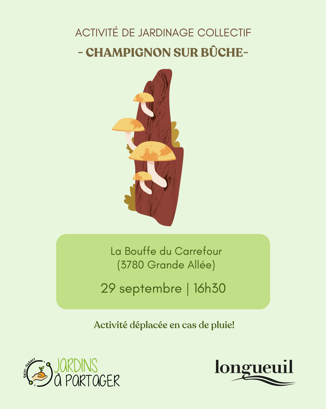 Champignon sur bûche