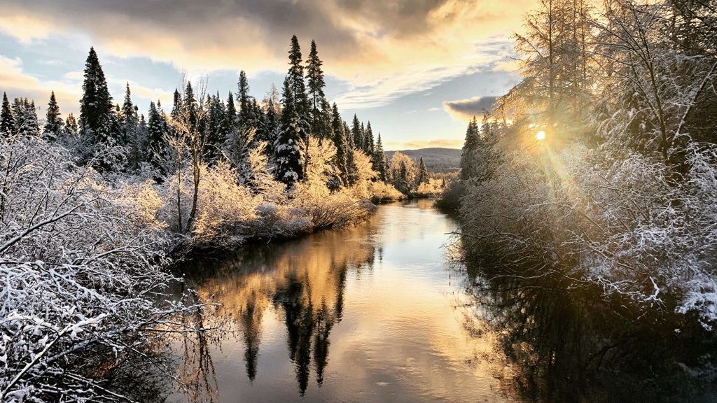 La COP15 en région : Capitale-Nationale et Chaudière-Appalaches