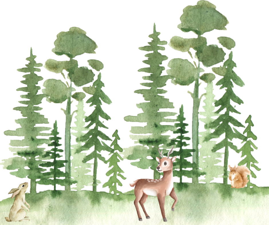 ATELIER D'ART PÈRE ENFANT : AQUARELLE