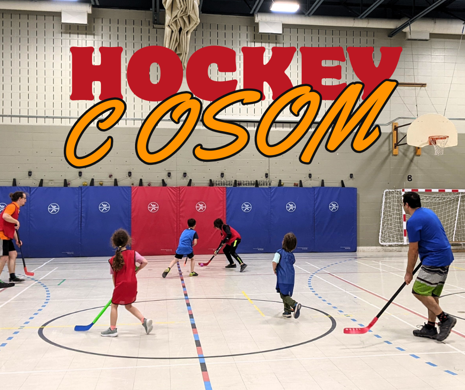 HOCKEY COSOM INTÉRIEUR