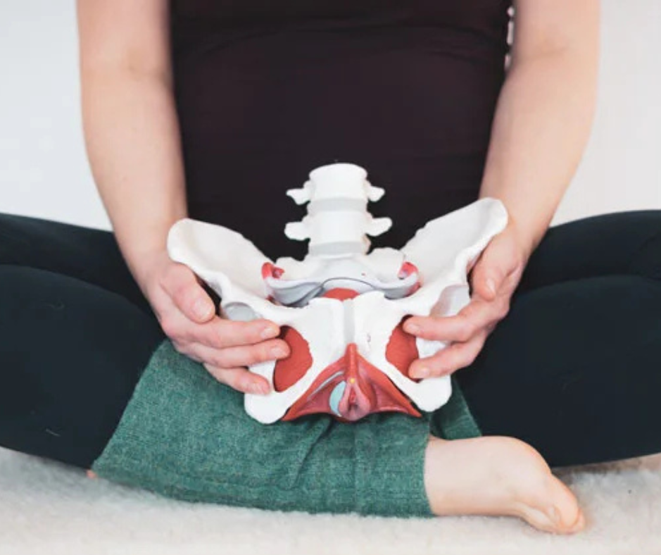 ATELIER D'INFORMATION : LA SANTÉ PÉRINÉALE ET PELVIENNE