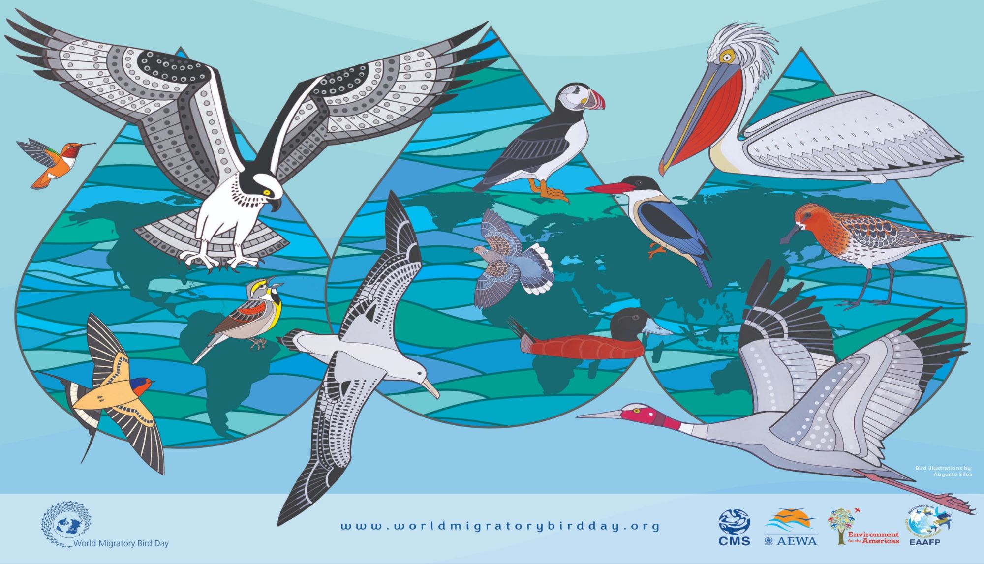 Le 13 mai, célébrez la Journée mondiale des oiseaux migrateurs au parc Jean-Drapeau!