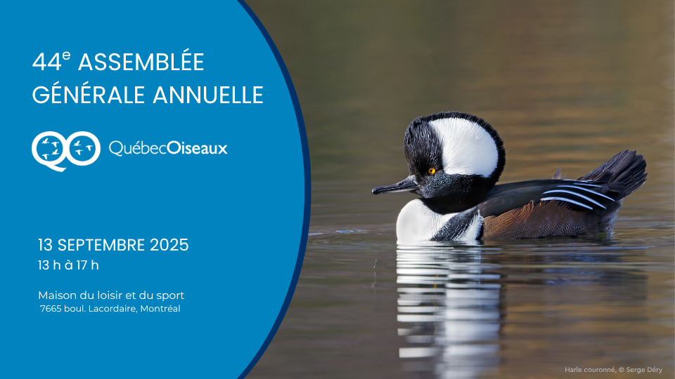 44e assemblée générale