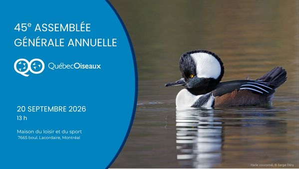 45e assemblée générale