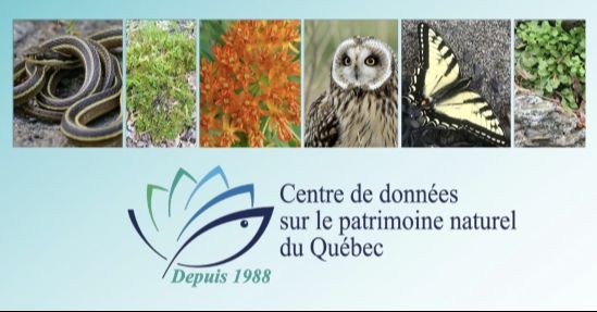 Le Centre de données sur le patrimoine naturel du Québec