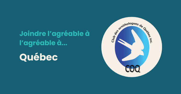 Club des ornithologues de Québec