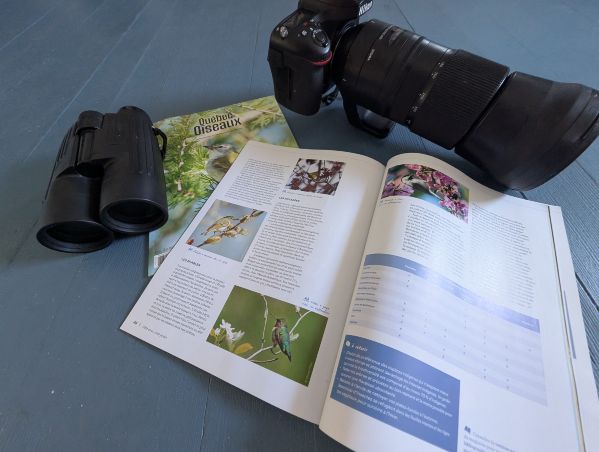 Comment publier ses photos dans QuébecOiseaux