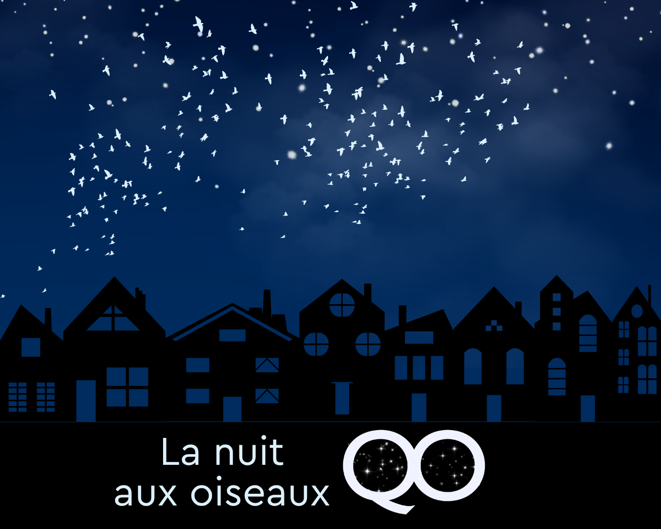 La nuit aux oiseaux