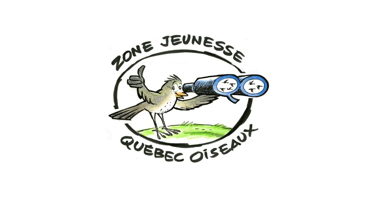 Zone jeunesse