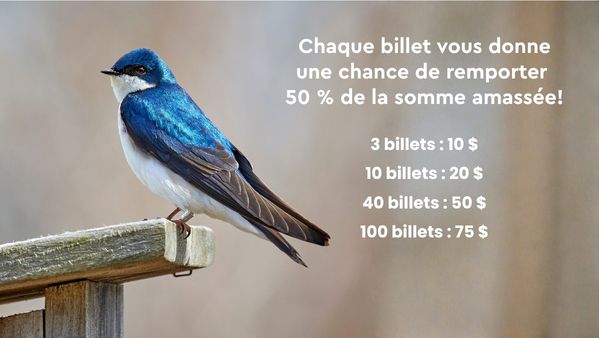 Moitié-moitié (comment ça fonctionne)
