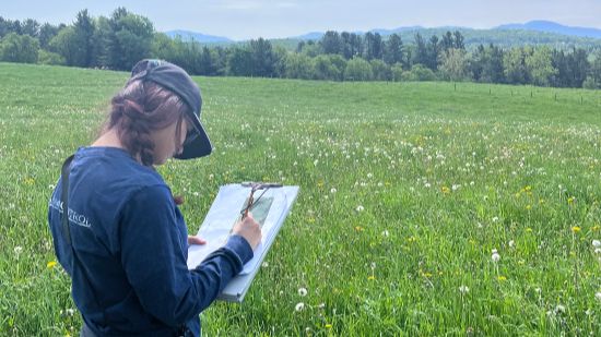 Et si les oiseaux devenaient ton métier?