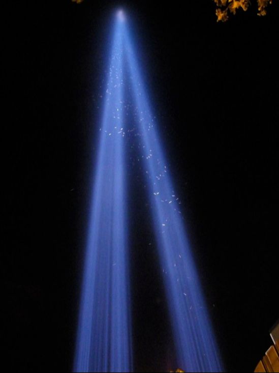 Pollution lumineuse - les impacts