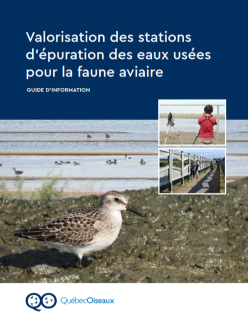 Valorisation des stations d’épuration des eaux usées pour la faune aviaire