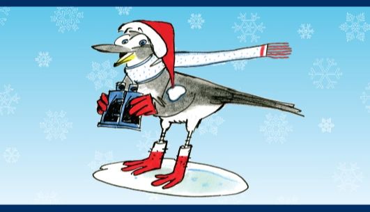 Le Rallye des oiseaux de Noël est de retour!