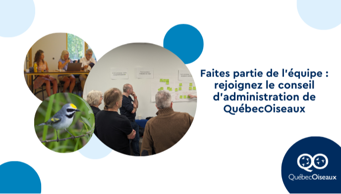 Appel de candidatures - conseil d'administration