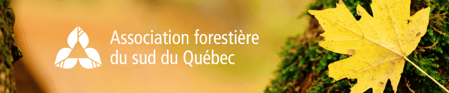 Description de la bannière