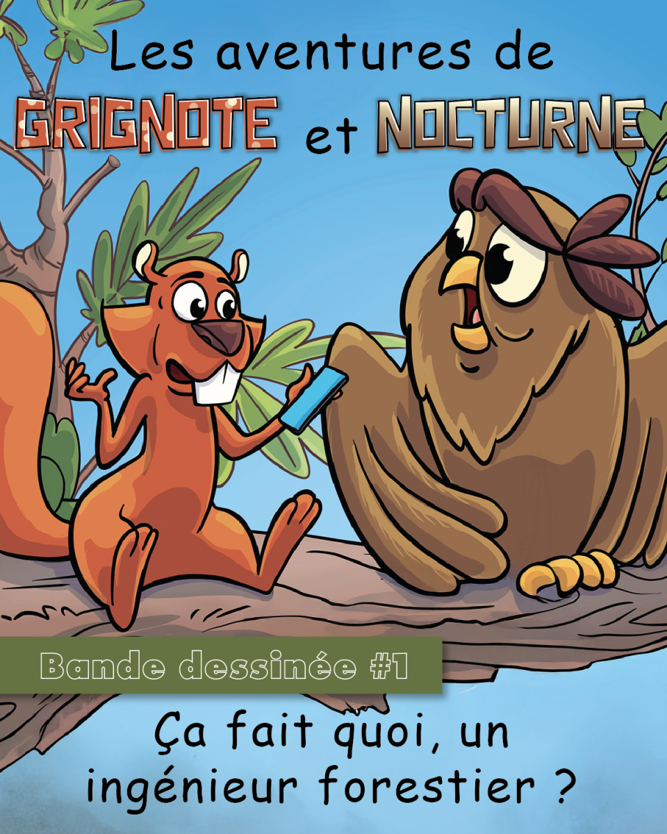 Bande dessinée 1
