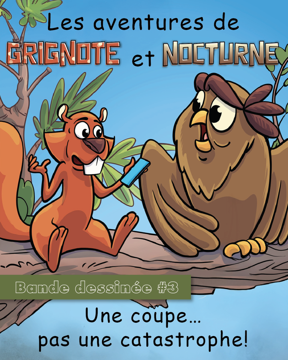 Bande dessinée 3 : Une coupe... pas une catastrophe !