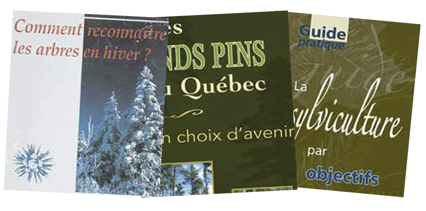 Guides et publications de l'AFSQ