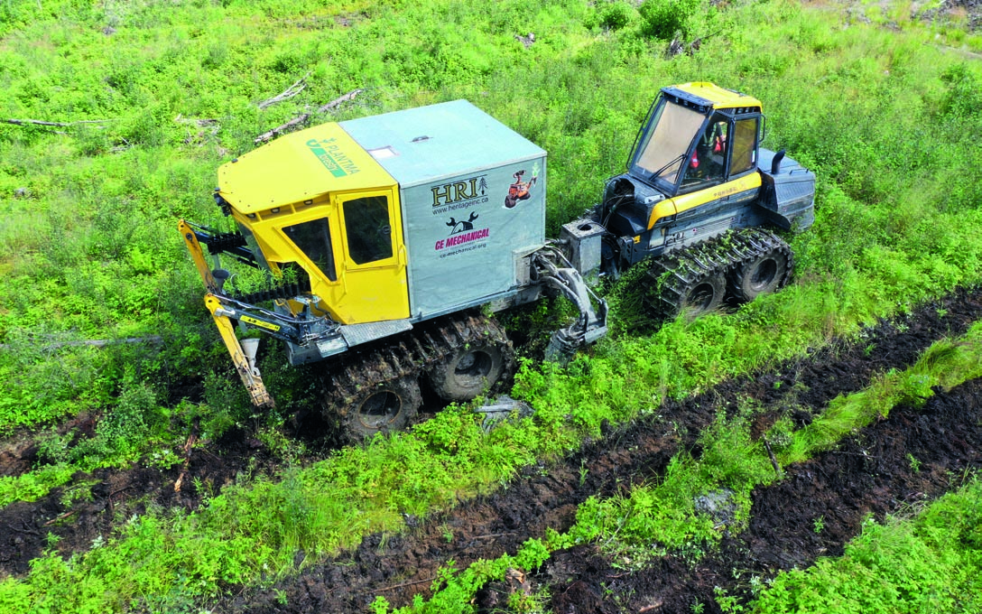 Planteuse continue PlantMax, une machine jaune montée sur un porteur forestier, en train de planter en rangs sur un terrain dégagé