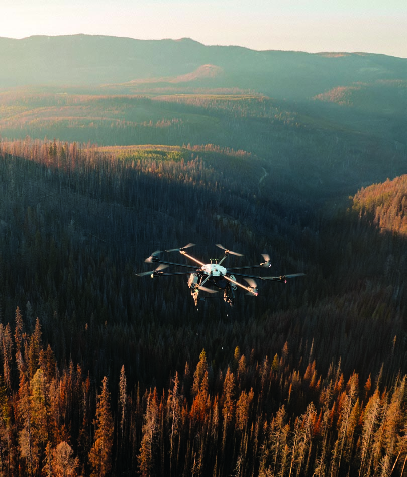 Drone équipé d’un semoir en vol au-dessus d’une forêt brûlée