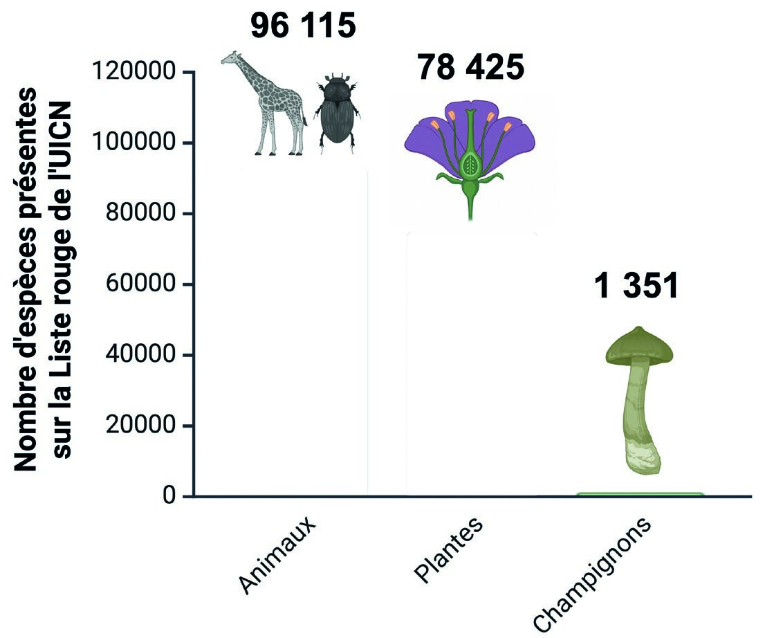 Graphique comparatif des espèces sur la liste rouge