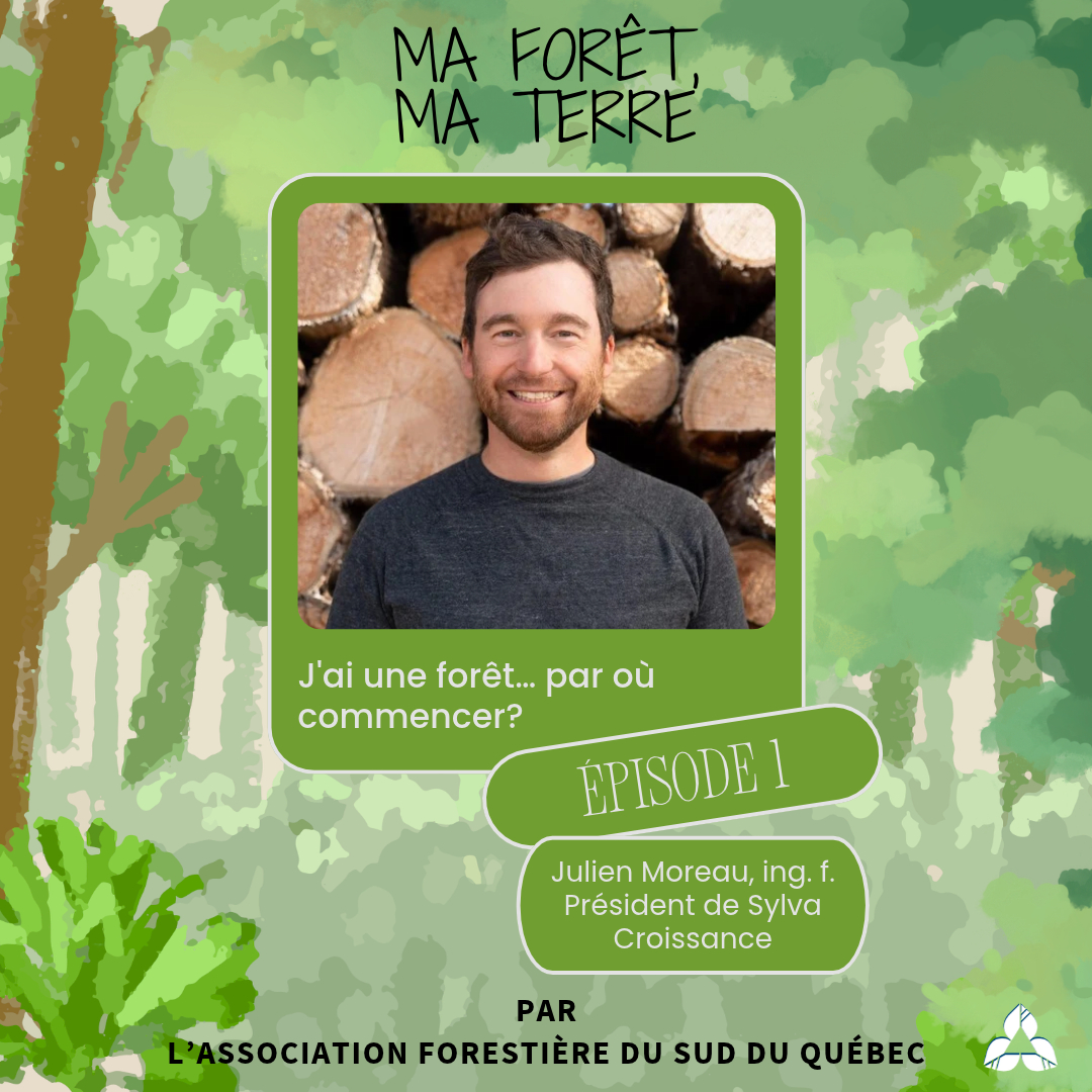 Visuel de l'épisode 1 : J'ai une forêt… par où commencer?