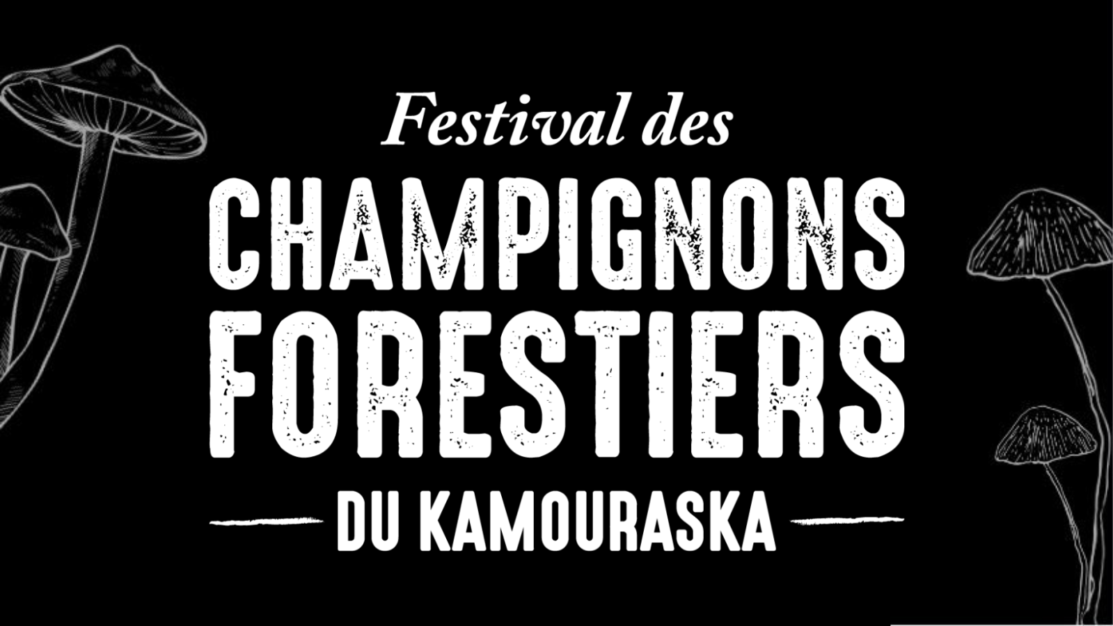 Festival des champignons forestiers