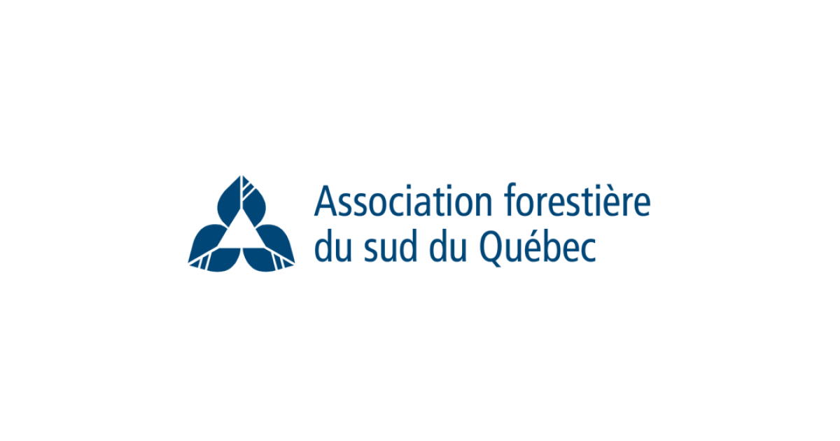 Tilleul d'Amérique  Association forestière du sud du Québec