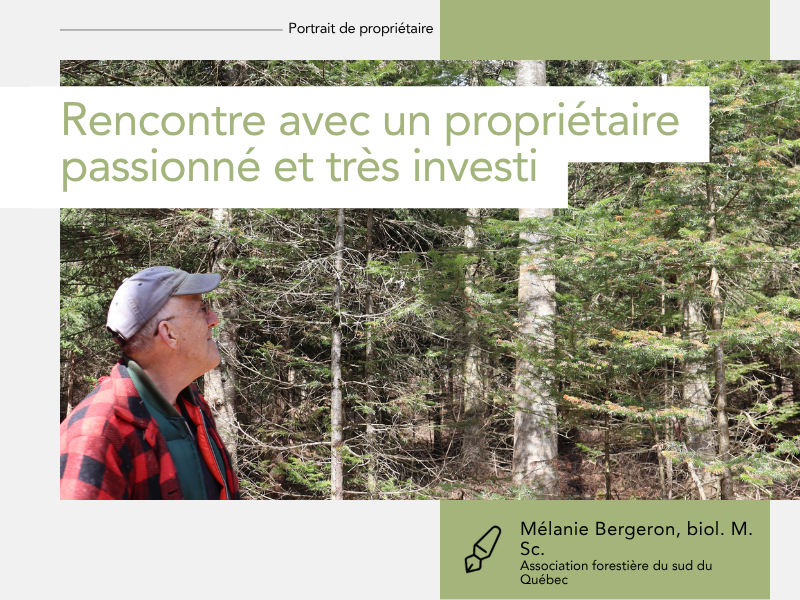 Articles - Vignette