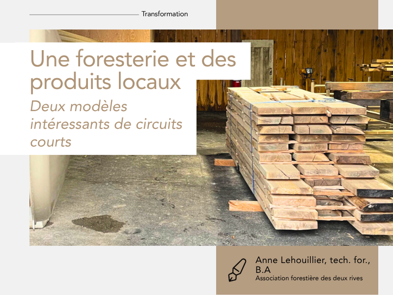 Articles - Vignette