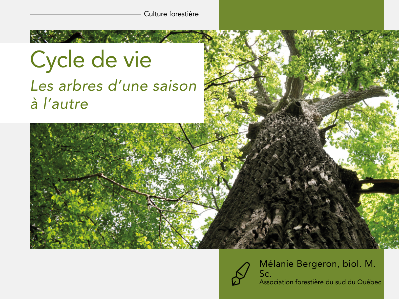 Articles - Vignette