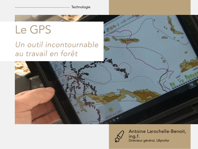 Articles - Vignette