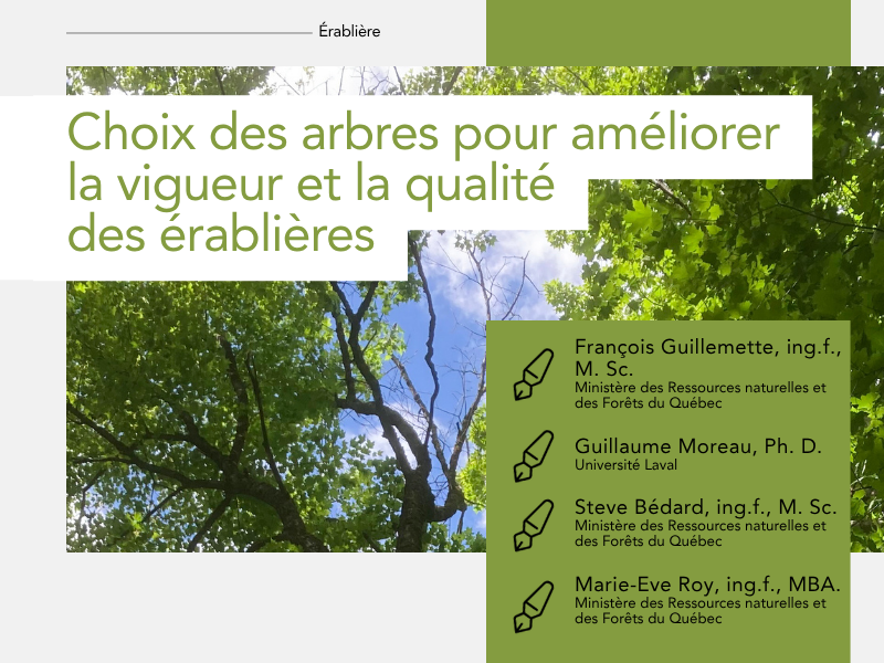 Articles - Vignette