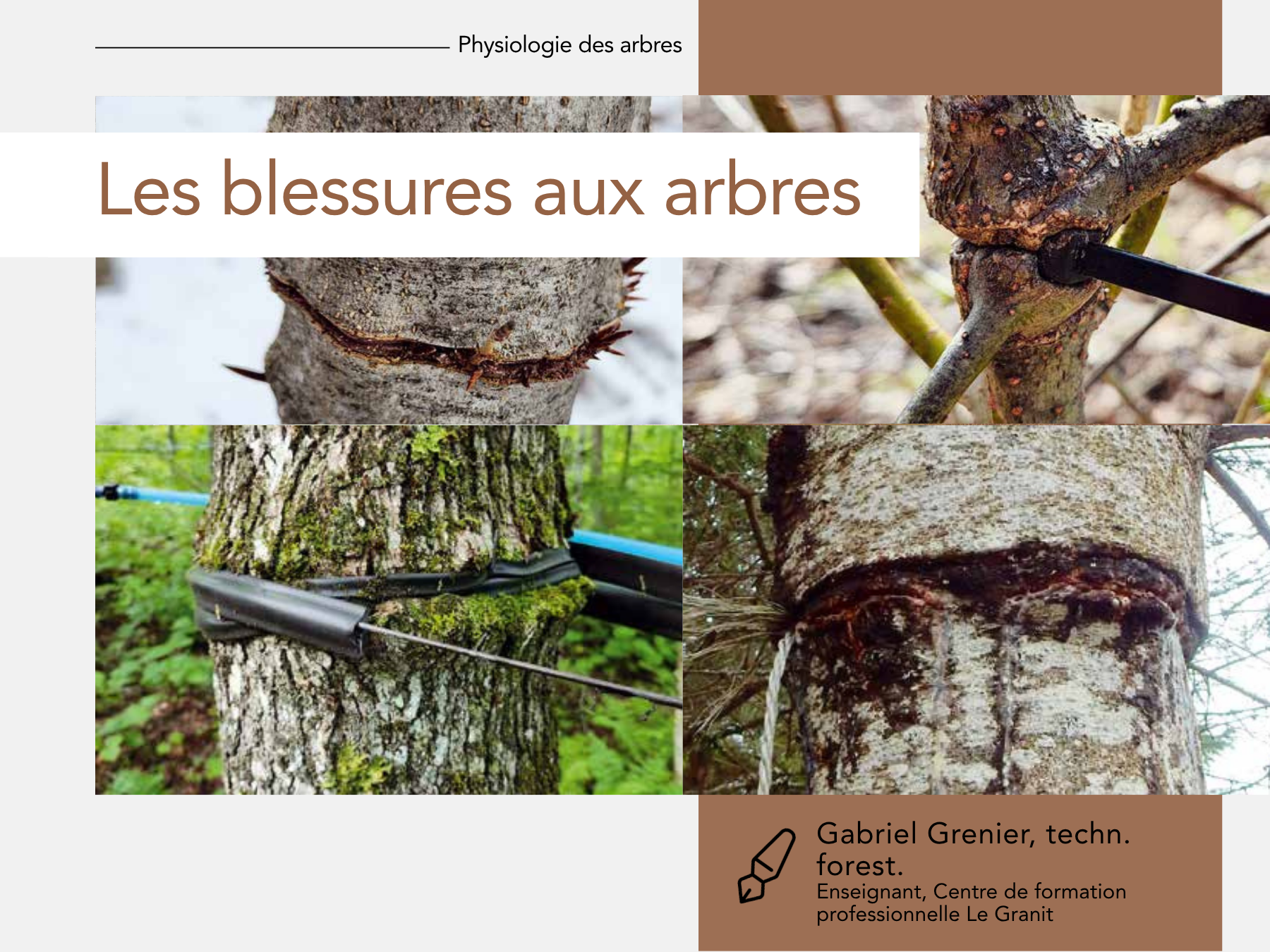 Articles - Vignette