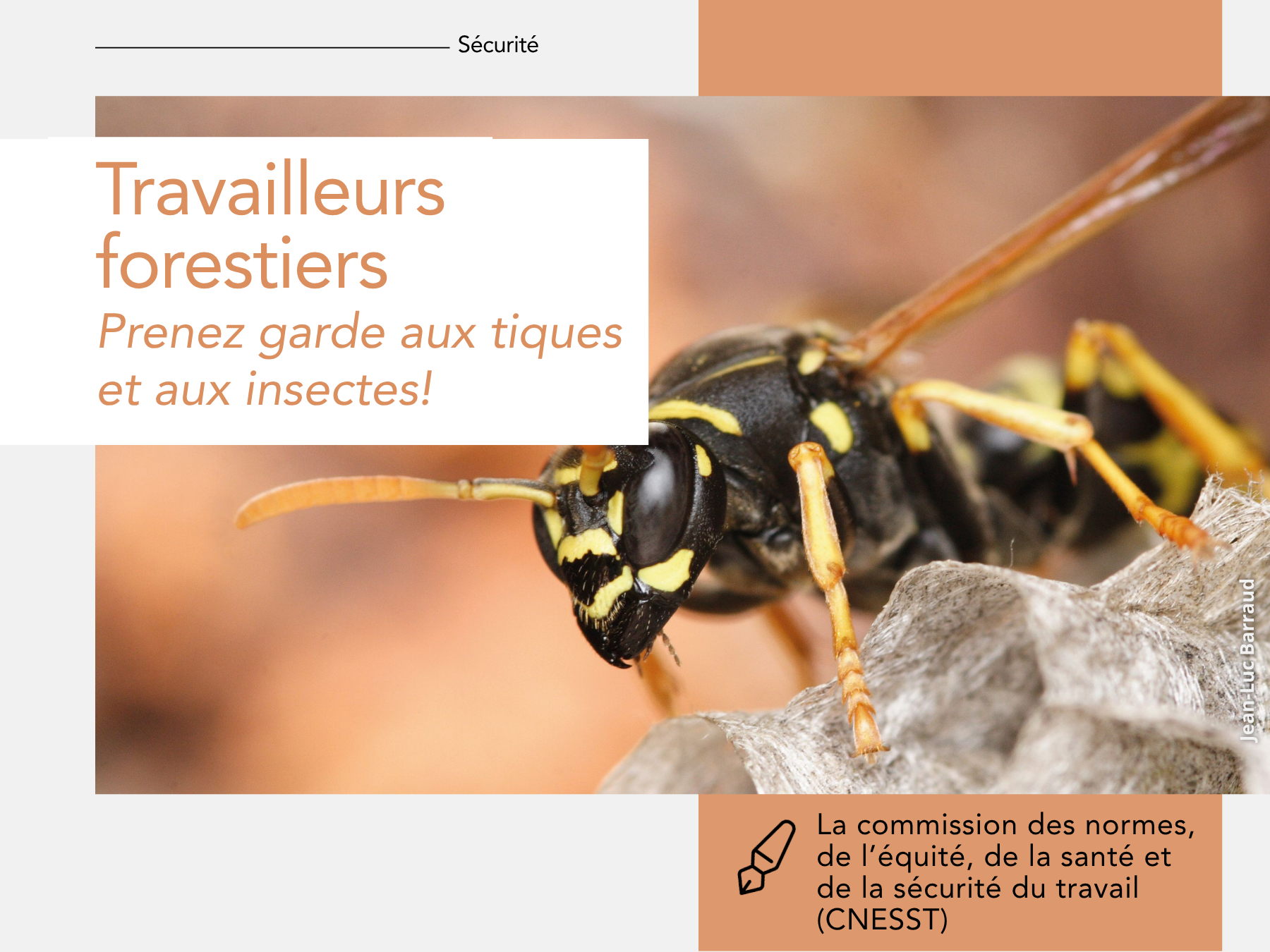 Articles - Vignette