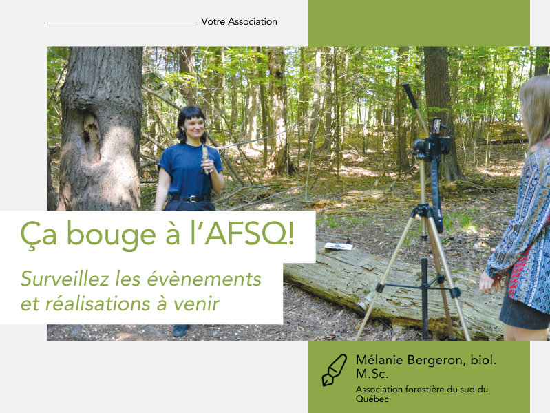 Articles - Vignette