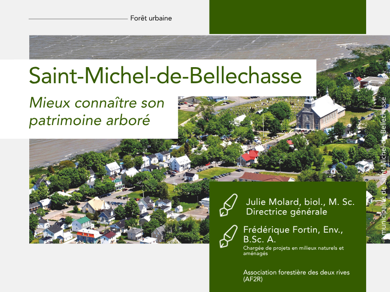 Articles - Vignette