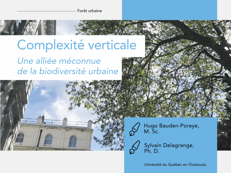 Articles - Vignette