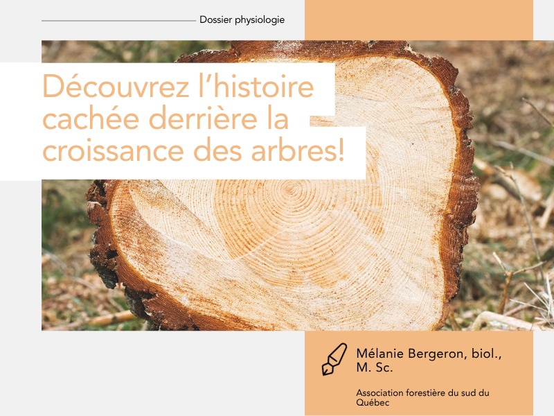 Articles - Vignette