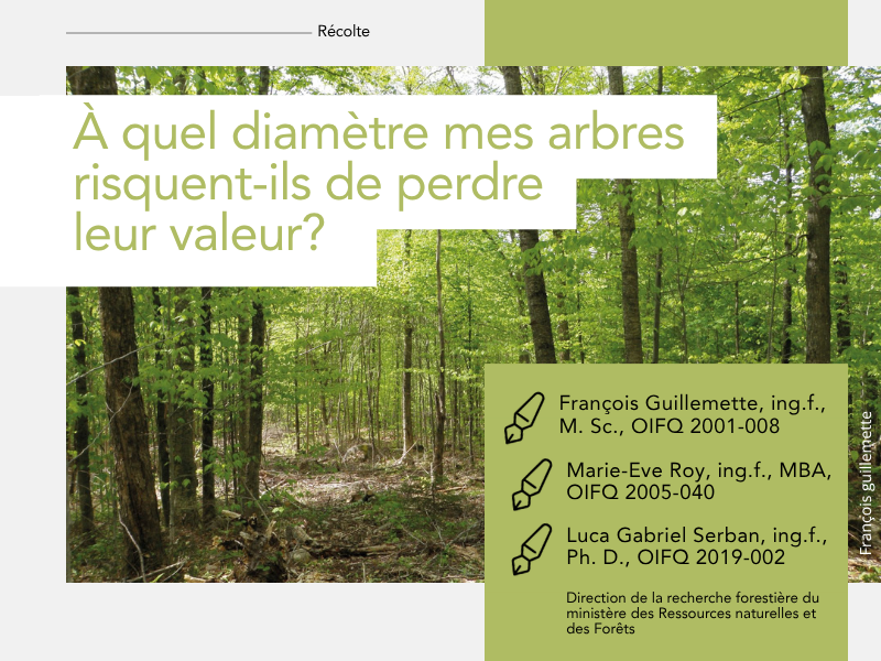 Articles - Vignette