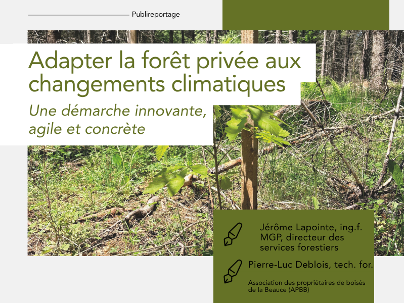 Articles - Vignette