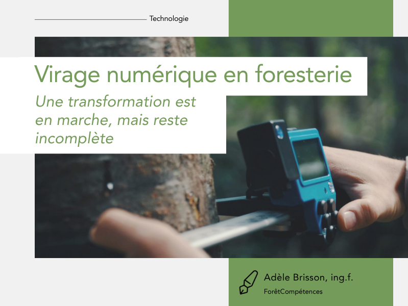 Articles - Vignette