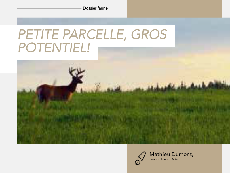 Articles - Vignette