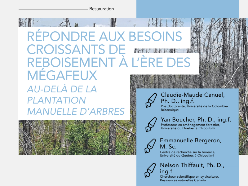 Articles - Vignette