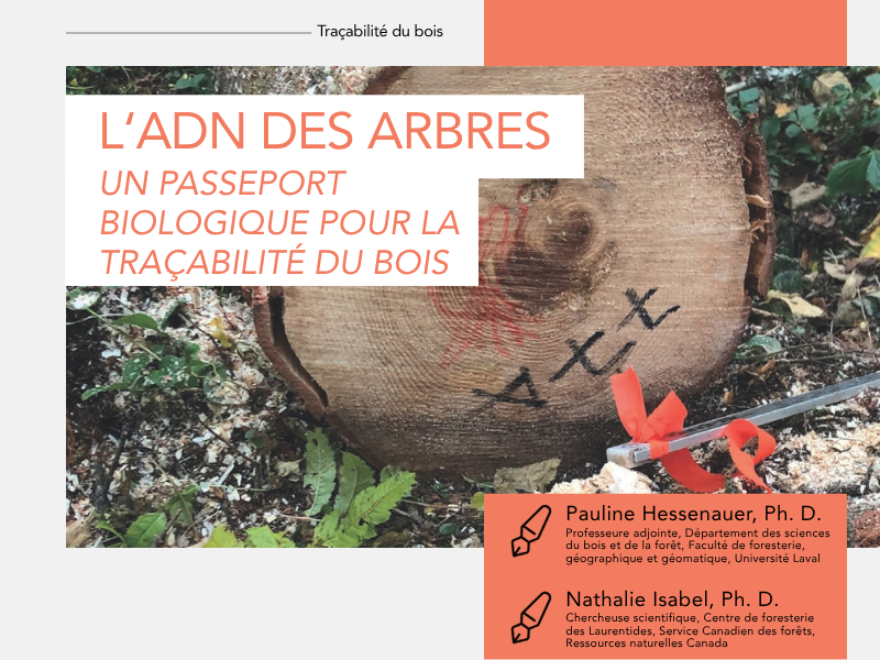 Articles - Vignette
