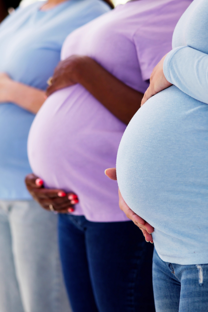 Image of the placenta